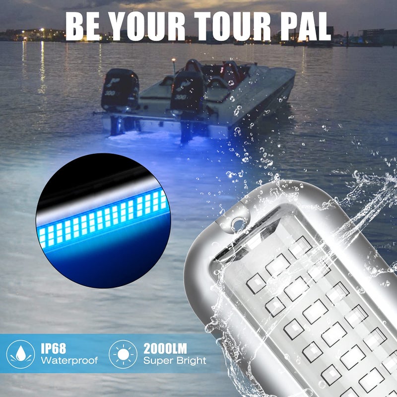 BASIKER BS3 Marine LED Boat Light (2x2000LM 60LED), 10-36V, 316 Stainless Steel, IP68, Air or Underwater, Surface Mount Designed for Cruise Ships, Yachts, Boats, Sailboat, Pontoon, Transom (Blue) - Image 3